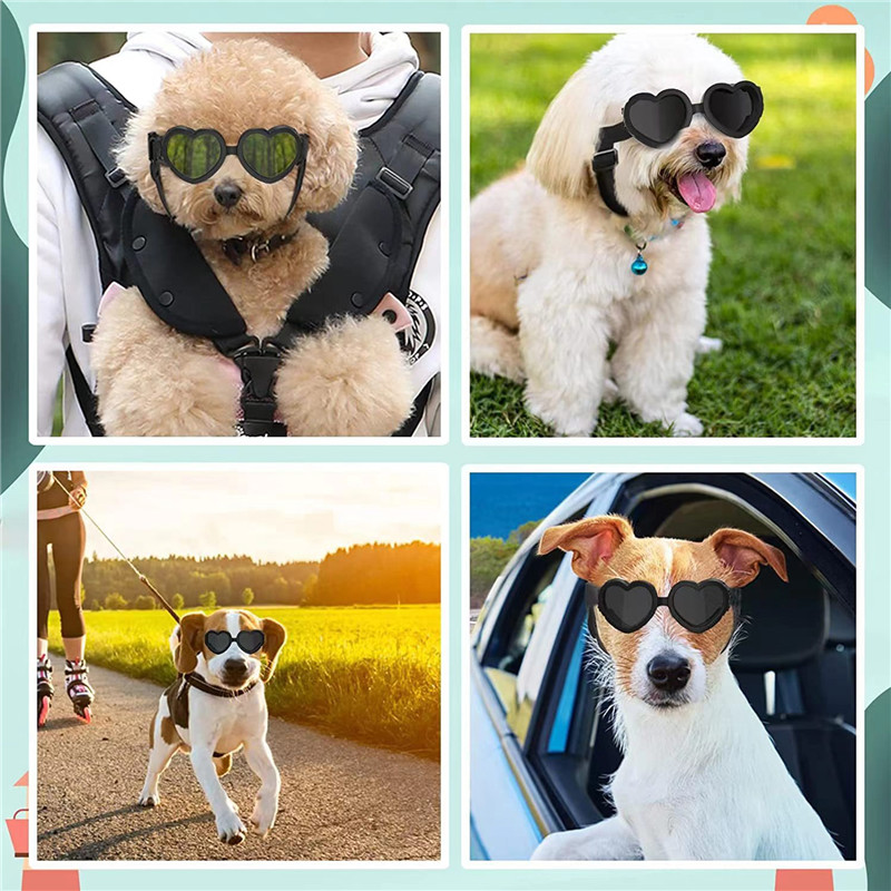1 PC Heart-shaped Small Dog Su - Sunglass Retainer Cord incelemesi ve fiyatı