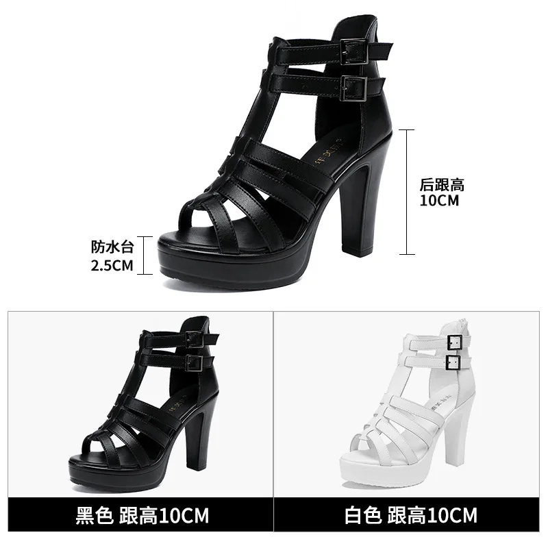 Gladiator Ladies Shoe for Wome - Casual Sandal Leather incelemesi ve fiyatı